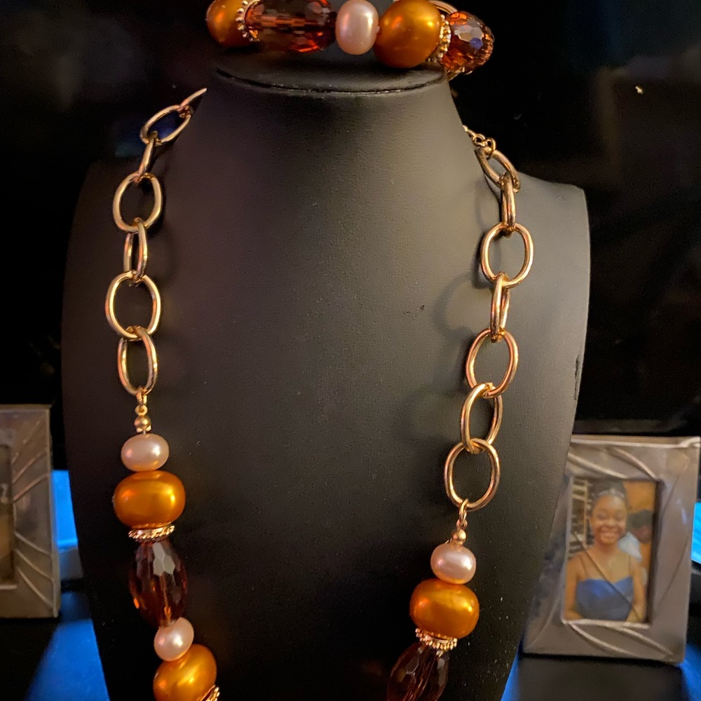 Paparazzi Gold and Brown Necklace Set